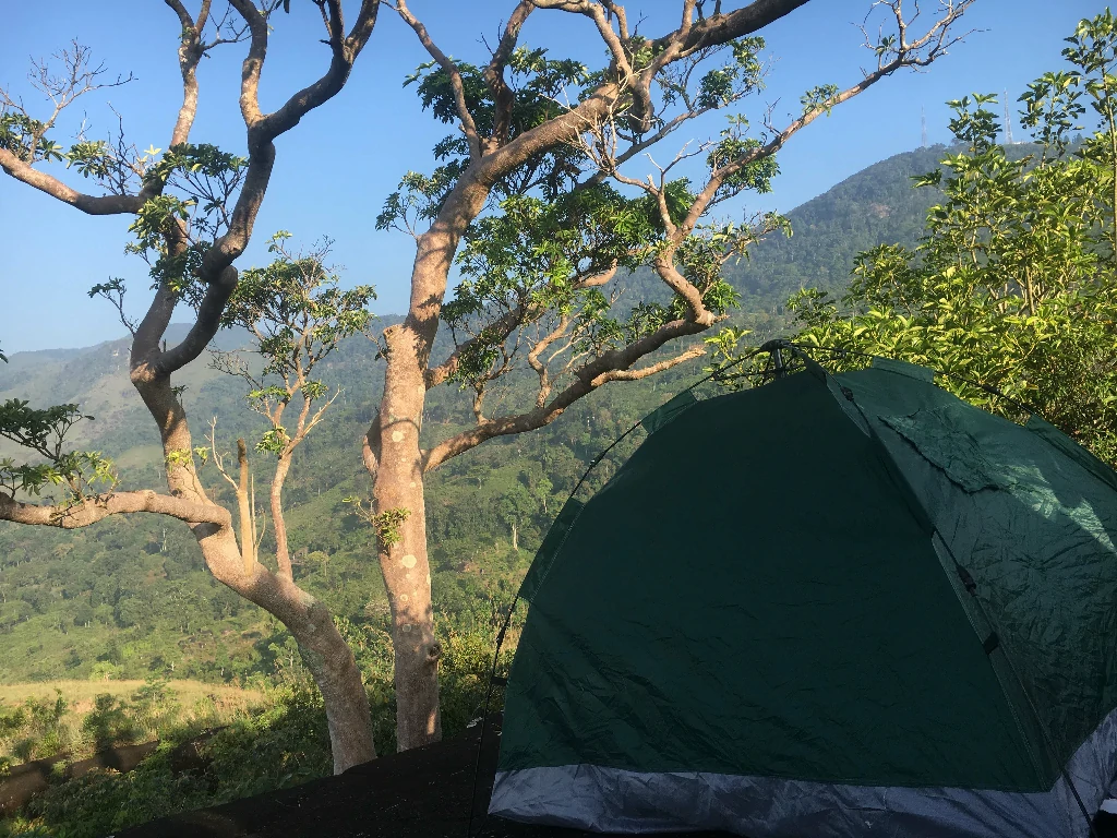 Camping in Sinharaja Tour Guide
